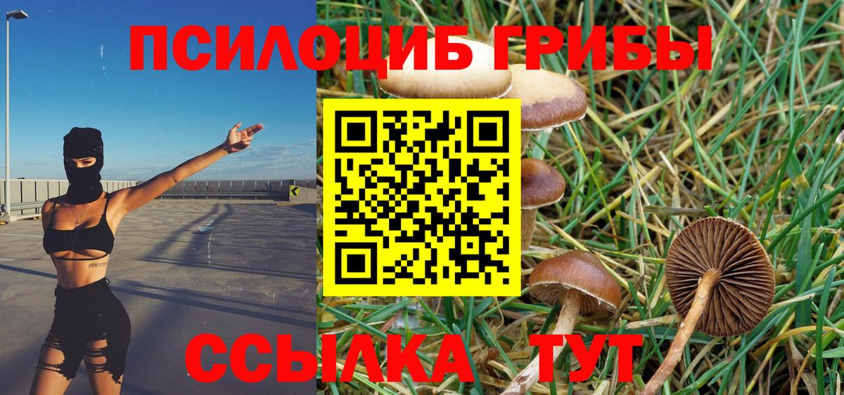 Галлюциногенные грибы прущие грибы Волжский