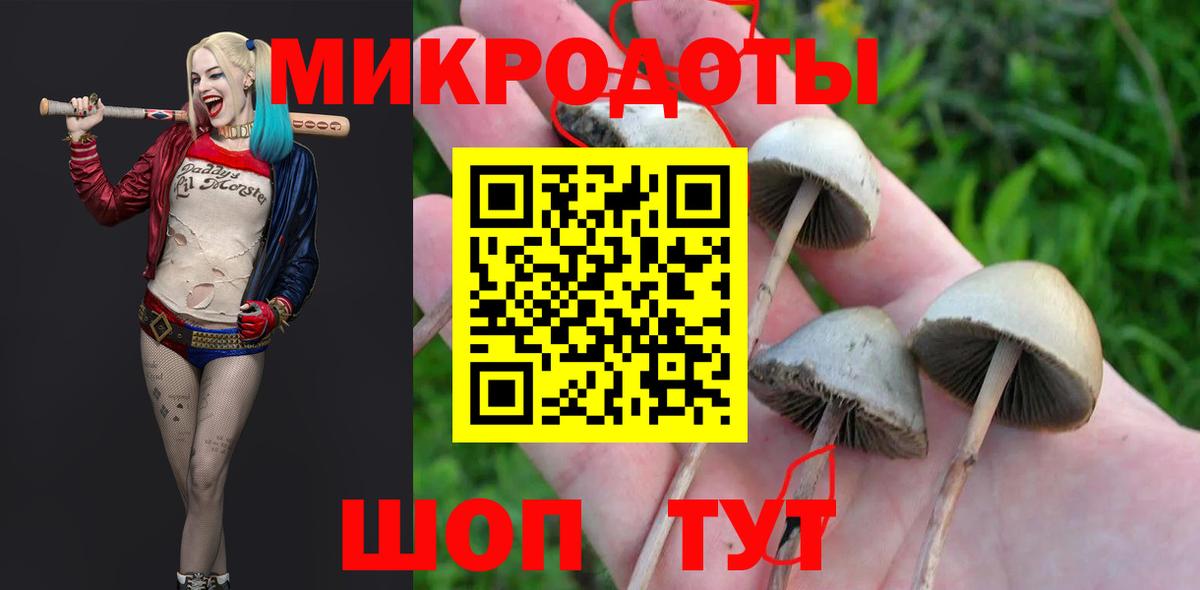 Галлюциногенные грибы Cubensis  Галлюциногенные грибы Cubensis  Волжский  даркнет сайт  Вход с VPN 